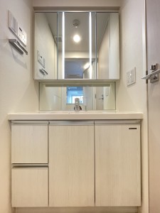 Blancé Beauté KOMAZAWA DAIGAKU（ブランセボーテ駒沢大学）301の室内5