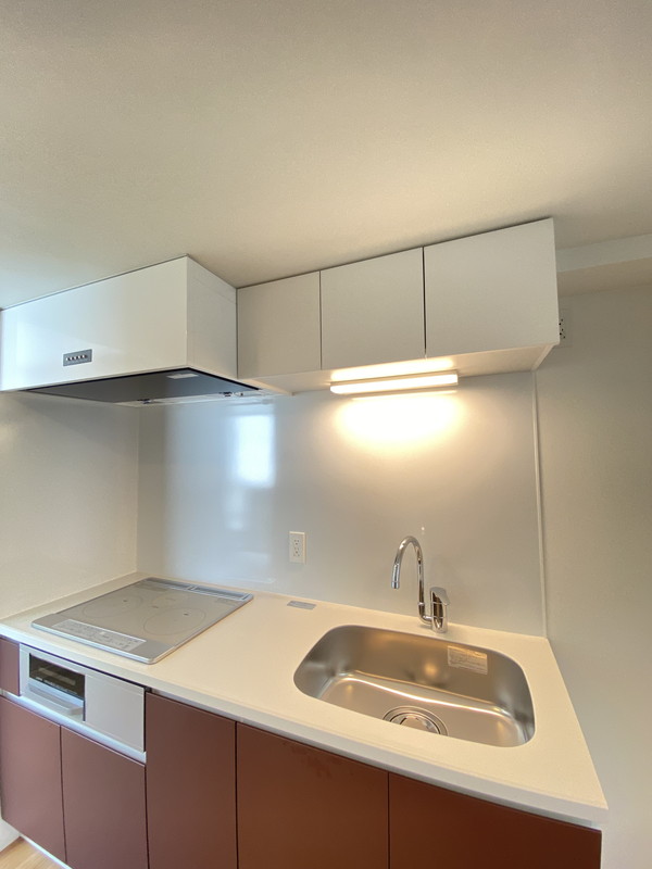 ASTILE三軒茶屋Ⅳ（アスティーレ三軒茶屋Ⅳ）304の室内12