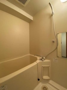 メゾンヌーヴェル501の室内9