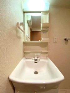 メゾンヌーヴェル501の室内7