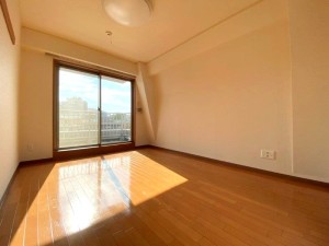 メゾンヌーヴェル501の室内5