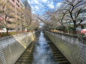 メゾンヌーヴェル501の室内3