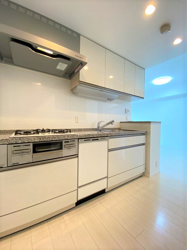 パークリュクス目黒904の室内8