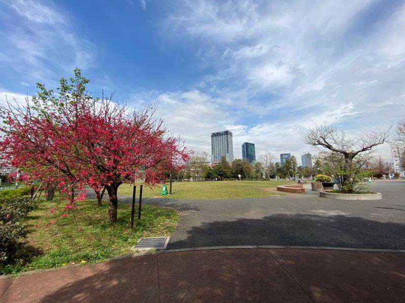 コモド目黒東山203の室内5