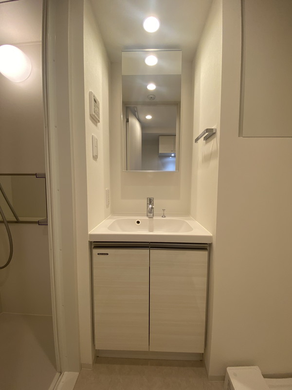 ルネサンスコート祐天寺202の室内6