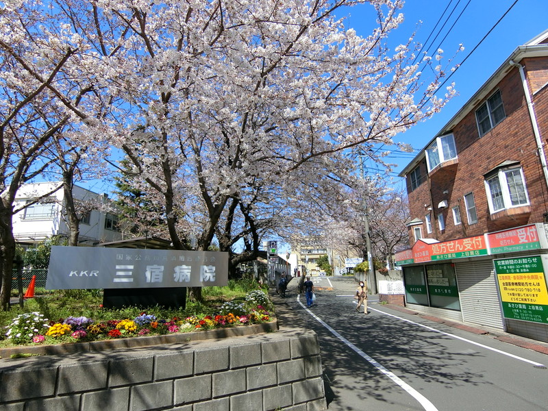 STビル桜橋301の室内18