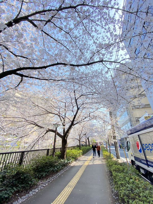 サードリハイツ本館702の室内13