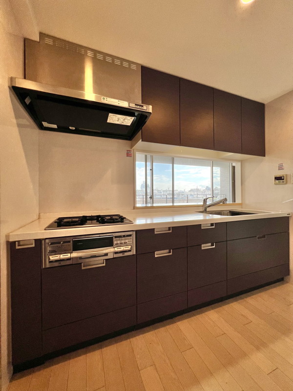 セラフィータ世田谷402の室内11