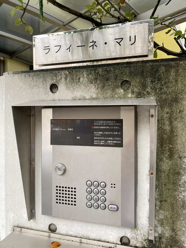 ラフィーネマリ201の室内4