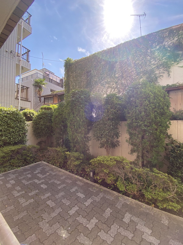日神パレステージ三軒茶屋112の室内9