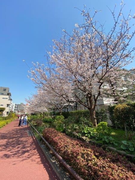 パークペルル池尻409の室内16