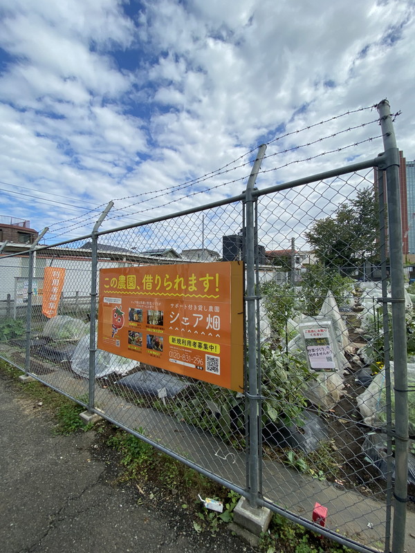 Soavita三軒茶屋（ソアヴィータ三軒茶屋）201の室内13