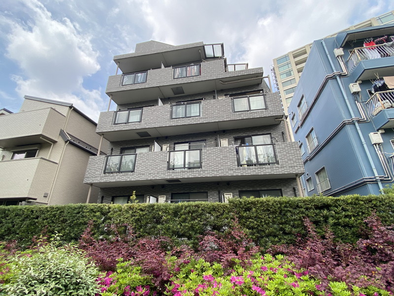 サフィール205の室内1