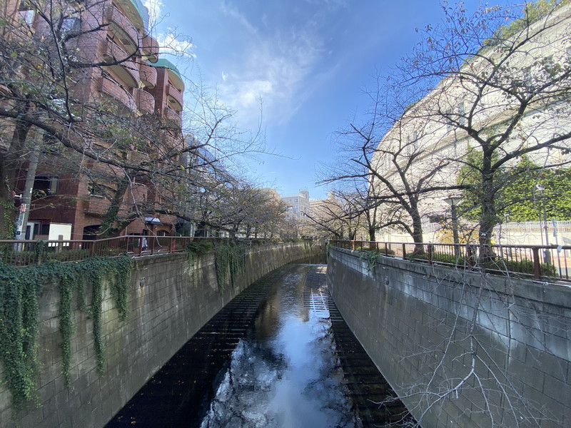 フラッツ大橋409の室内17