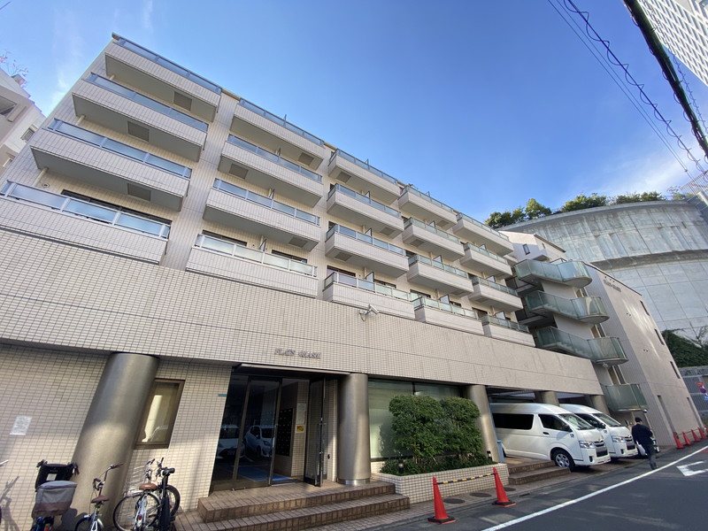 フラッツ大橋409の外観