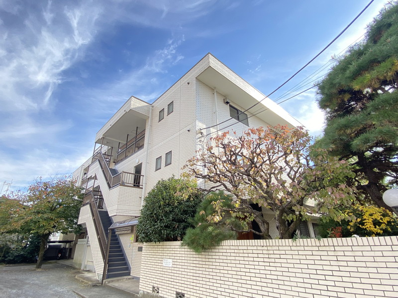 シェリーハイツ壱番館301の室内1