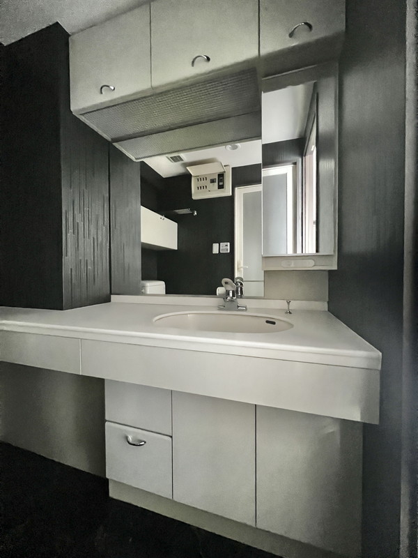 フリーディオ広尾南404の室内8