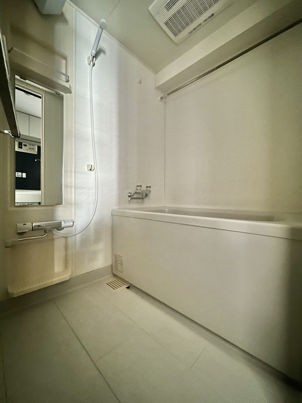 フリーディオ広尾南404の室内9