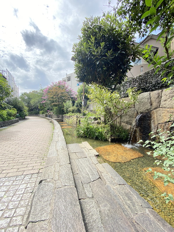 ディアレイシャス三軒茶屋104の室内10