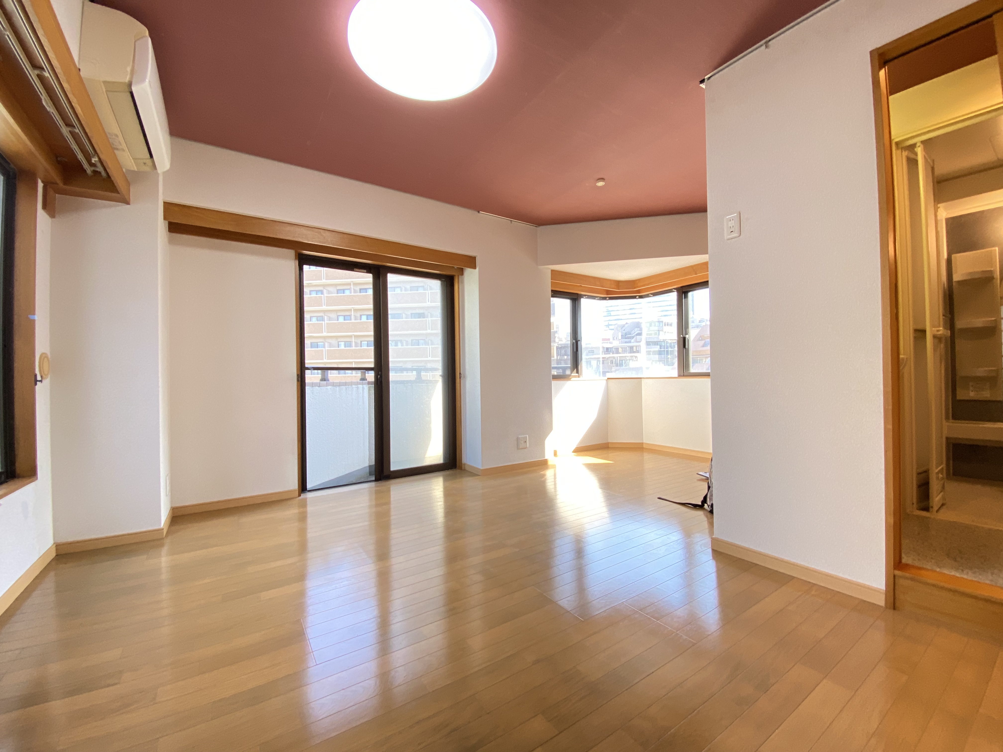 日神パレステージ駒場703の室内6