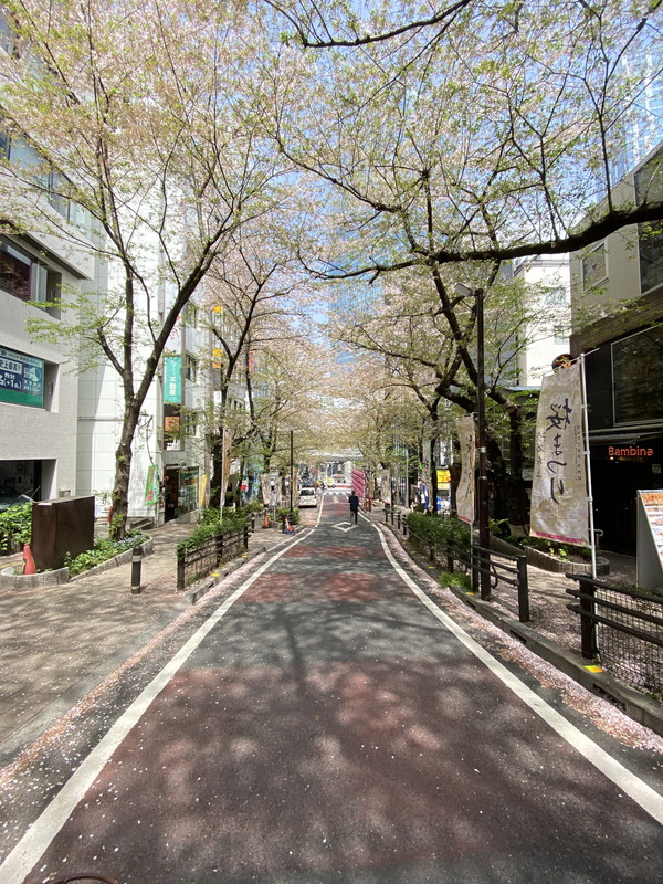 ピアース渋谷603の室内10
