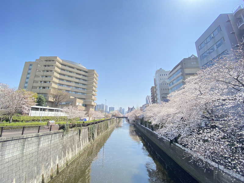 ラミアール中目黒307の室内11