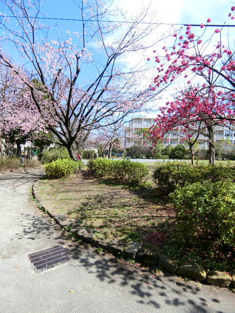 ガーラ・ヒルズ目黒東山103の室内9