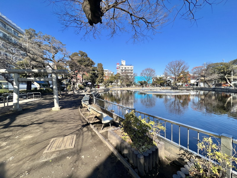 ドルチェ学芸大学203の室内12