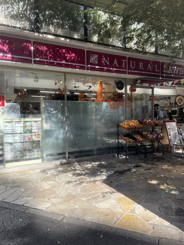 東信松濤マンション308の室内9