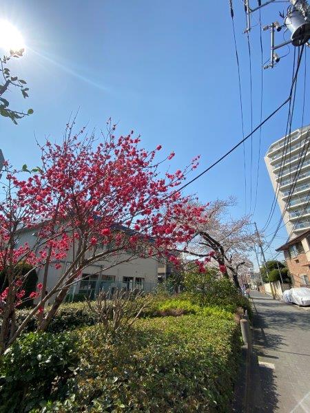 FLEG池尻103の室内9