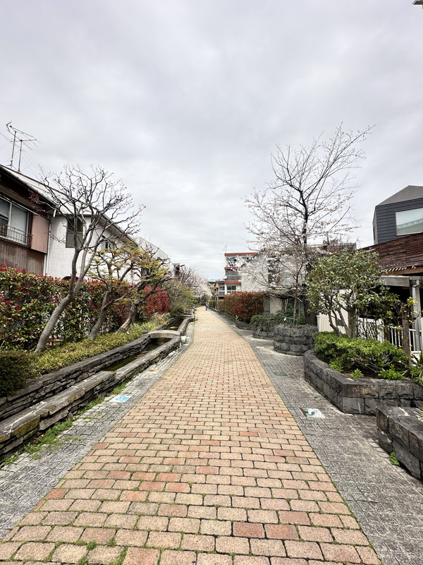 アーバイル三軒茶屋701の室内16