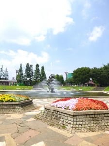 KDXレジデンス下馬503の室内10