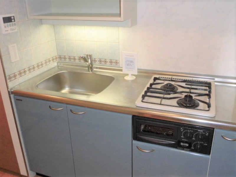 ステラメゾン下北沢103の室内3