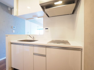 ウェルスクエアイズム三軒茶屋306の室内4