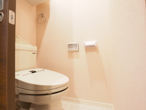 ウェルスクエアイズム三軒茶屋306の室内7