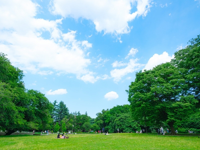 東海荘201の室内15