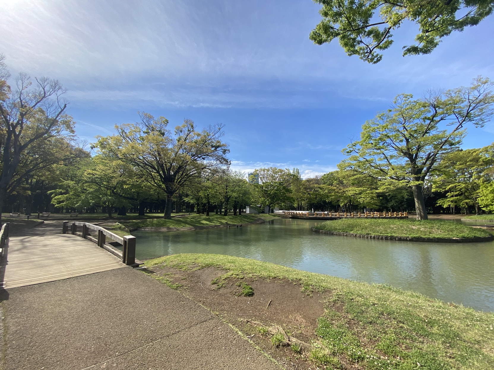 原宿東急アパートメント404の室内14