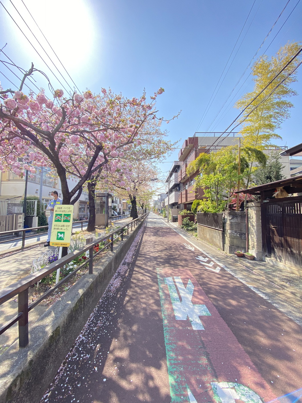 ソフィーネ西小山103の室内7