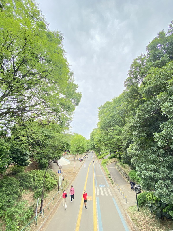 エスポワール駒沢502の室内12