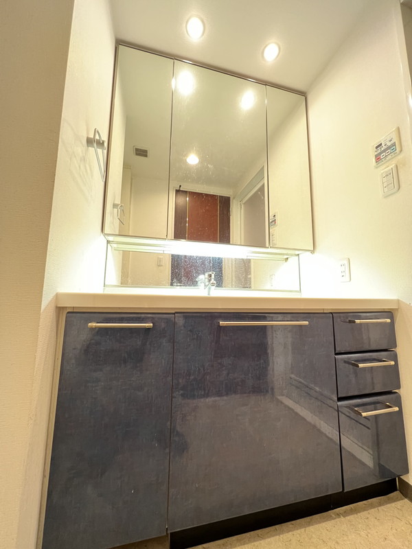 コンフォリア碑文谷106の室内6