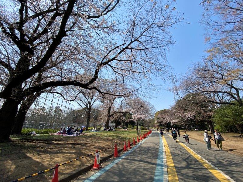 ステージファースト駒沢603の室内11