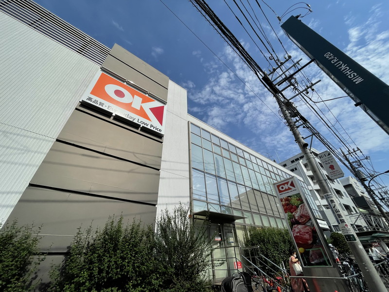 ホメスト池尻401の室内8