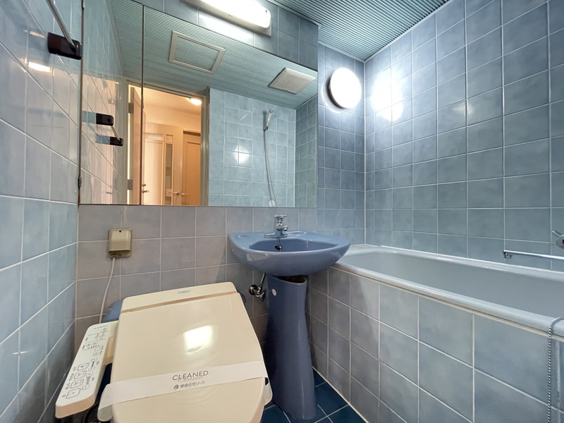 ホメスト池尻401の室内7