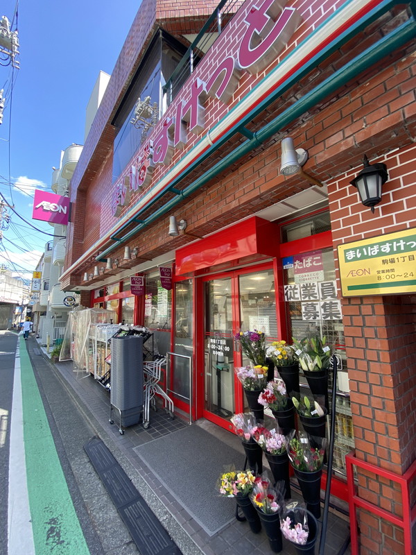 リムテラス駒場101の室内3