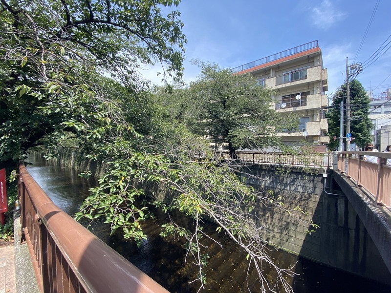 コージーコート中目黒303の室内12