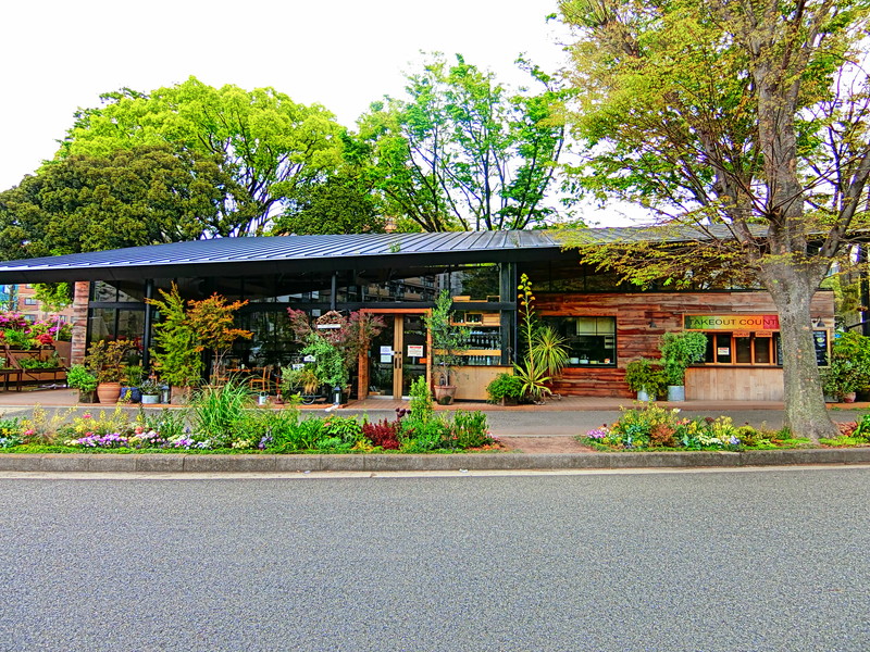 駒沢公園通り201の室内14