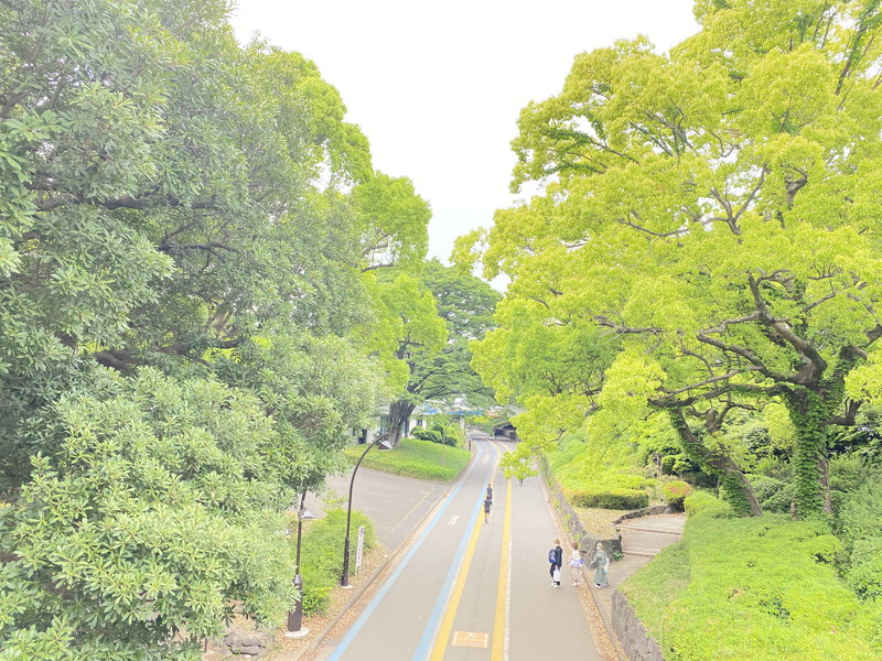 HF駒沢公園レジデンスTOWER703の室内13