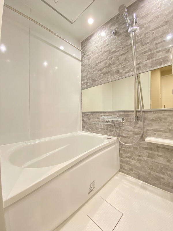 レジディア世田谷若林314の室内8