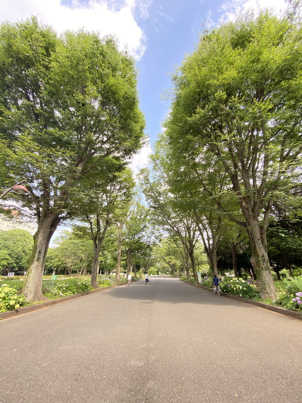 駒沢不二ロイヤルハイツ207の室内12