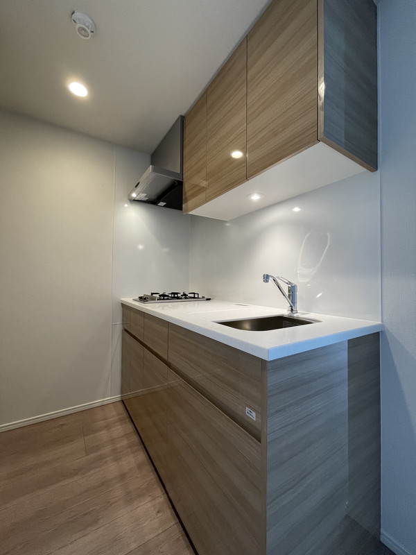 シーズンフラッツ柿の木坂804の室内15